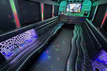 Arlington Heights Limo Bus Interior
